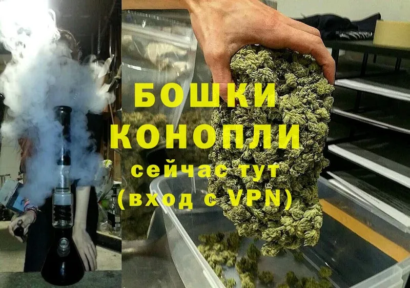 где можно купить   Володарск  Каннабис SATIVA & INDICA 